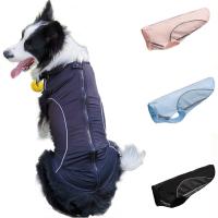 Polyester Haustier Hundebekleidung,  Milchseide, Gedruckt, Solide, mehr Farben zur Auswahl,  Stück