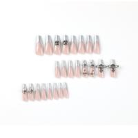 ABS Fake Nails twenty four piece silver Set