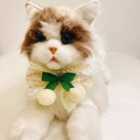 Cloth & Plastic Pearl Pets Collar PC