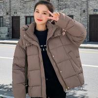 Polyester Women Parkas & thermal Solid PC