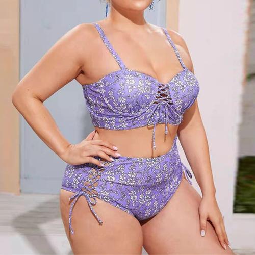 Spandex & Polyester Plus Size Bikini & two piece & padded printed Set