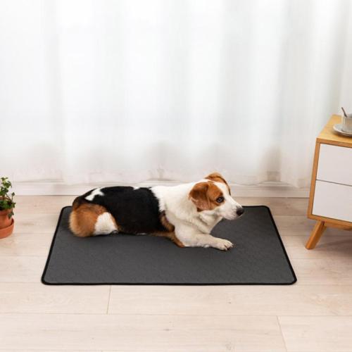 Thermoplastic Polyurethane & Mesh Fabric Pet Diaper Mat & anti-skidding & washable Solid PC