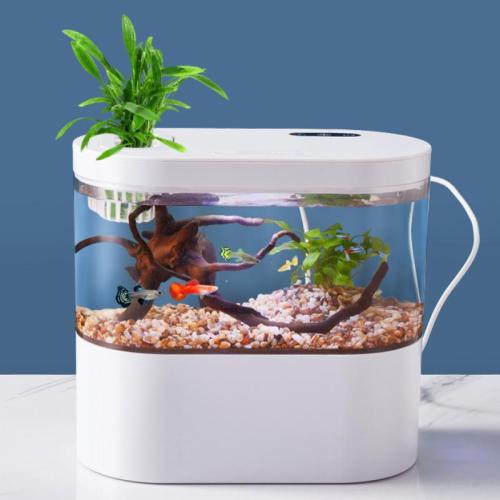 Plastové Akvarium più colori per la scelta kus