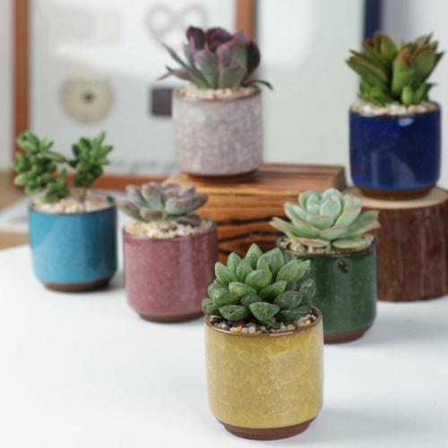 Ceramics Flower Pot Plants are not included & corrosion proof & six piece mixed colors Set