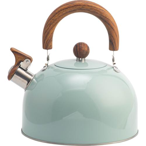 Stainless Steel Kettle alarm stoving varnish Solid gray PC