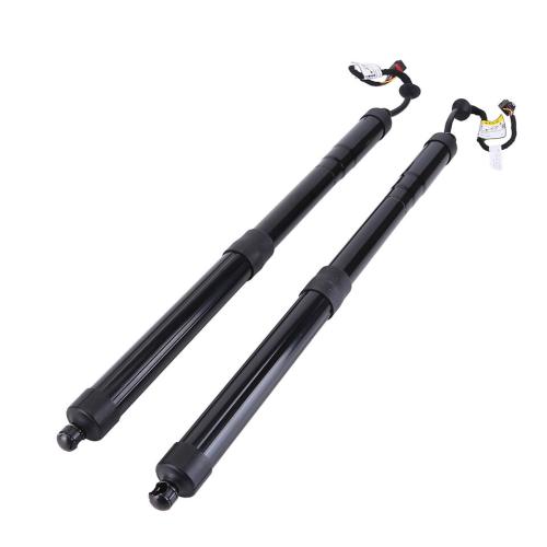 2x Left &Right Power Hatch Lift Support for Kia Sedona 2015 2016 2017-2021 3.3L