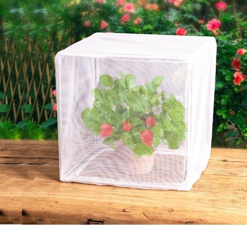 Plant Insect-proof Protective Cover Bird-proof Bag Vegetable Fleshy Breathable White Gauze Mesh Set