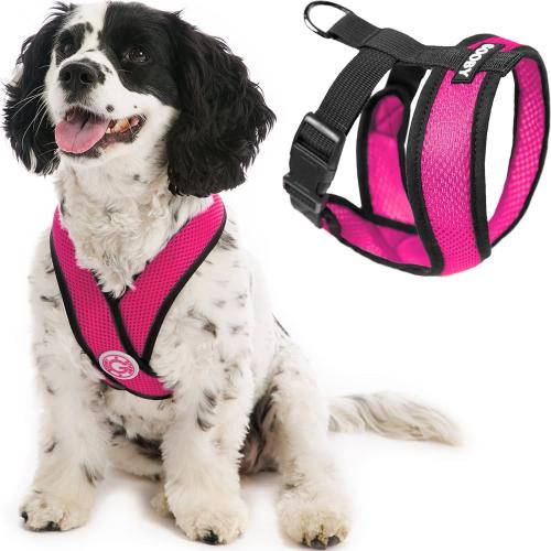 Dog Chest Pet Reflective Vest Adjustable Anti-drop Chest Strap Pet Set Traction Rope Breathable Mesh