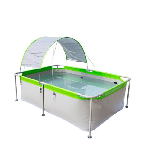 Swimming Pool with Canopy Family Summer Sunshade rectangular Clip Net Bracket Pool