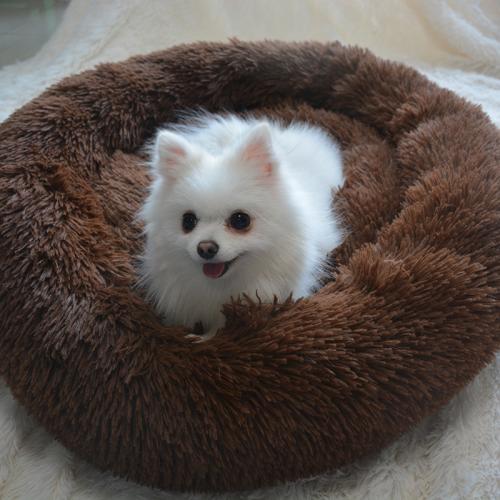Cloth & Plush Soft Pet Bed & thermal PC