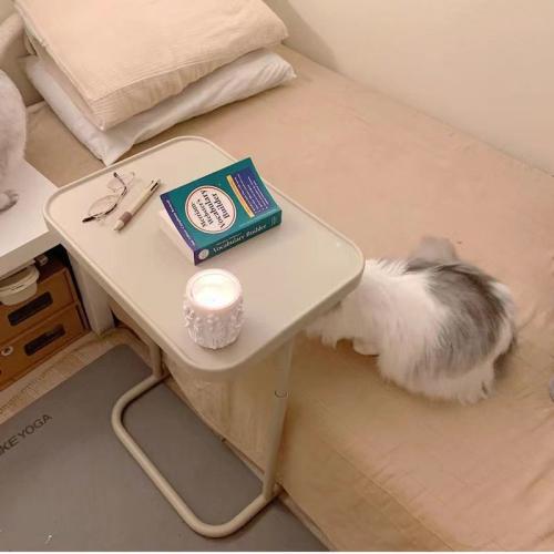 Polypropylene-PP Laptop Stand PC