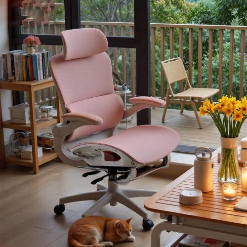 Mesh Fabric & Engineering Plastics & Polypropylene-PP & Sponge & Nylon Office Chair adjustable PC