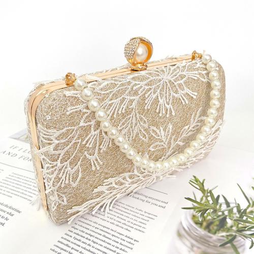 PU Leather Box Bag & Vintage Clutch Bag champagne PC