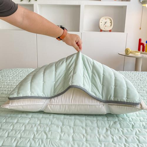 Polyester Pillow Case & anti-skidding Dayestuff Solid PC
