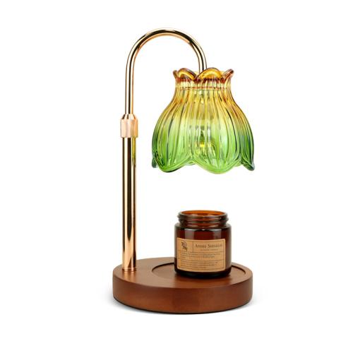 Métal & Verre & Bois massif Lampes de parfum plus de couleurs pour le choix pièce