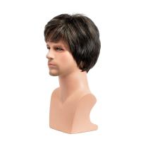 High Temperature Fiber short hair & Concise & Easy Matching Wig PC