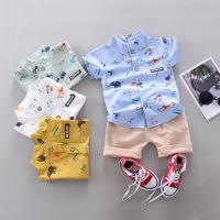 Cotton Children Clothes Set & two piece Pants & top Set