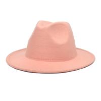 Woollen Cloth Fedora Hat Solid PC