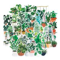 Lijmlabelpapier & Pvc Stickerpapier Afgedrukt Plant Groene Veel