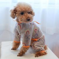 Polyester Waterproof Dog Raincoat & transparent rainbow pattern PC