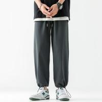 Poliéster Pantalones Hombre Casual, Sólido, más colores para elegir,  trozo