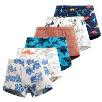 Cotton Baby Boy Underwear printed Set