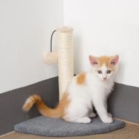 Sisal hennep Kat klimmen frame meer kleuren naar keuze stuk