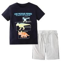 Cotton Slim Boy Clothing Set & two piece Pants & top printed Set