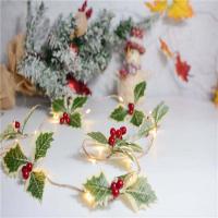 Plastic Battery Case LED Decorative Lights christmas design PC