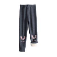 Cotton Slim Boy Casual Pants fleece embroidered PC