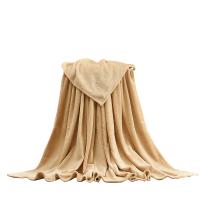 Polyester Blanket plain dyed Solid PC