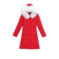 Polyester Women Parkas & thermal patchwork Solid PC