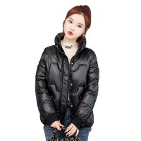 Polyester Femmes Parkas Patchwork Solide plus de couleurs pour le choix pièce