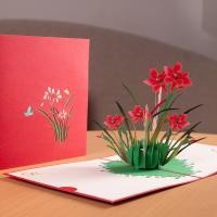 Paper Creative 3D Manual Greeting Cards for gift giving PC