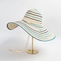 Paille Chapeau de paille de protection solaire Tisser Solide plus de couleurs pour le choix pièce