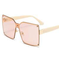 Plastic Sun Glasses unisex PC