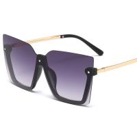 PC-Polycarbonate without frame Sun Glasses unisex PC