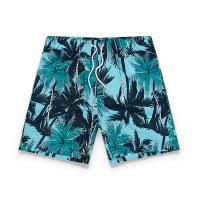 Polyester Mannen Beach Shorts Afgedrukt ander keuzepatroon meer kleuren naar keuze stuk