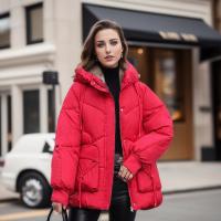 Polyester Femmes Parkas Solide plus de couleurs pour le choix pièce