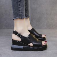 Polyurethan & PU Leder Frauen Sandalen, Andere, mehr Farben zur Auswahl,  Paar