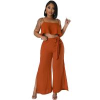 Polyester Frauen Casual Set, Solide, mehr Farben zur Auswahl,  Festgelegt