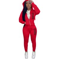 Polyester Frauen Casual Set, Gedruckt, Solide, mehr Farben zur Auswahl,  Festgelegt