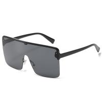 Métal & PC-Polycarbonate Lunettes solaires plus de couleurs pour le choix pièce