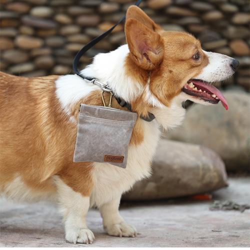 Baumwolle Tasche für Haustier, mehr Farben zur Auswahl,  Stück