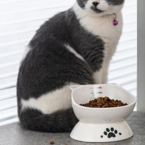 Porcelain Pet Bowl hardwearing PC