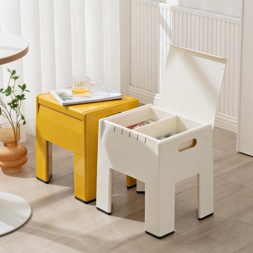 Engineering Plastics Multifunction Storage Stool PC