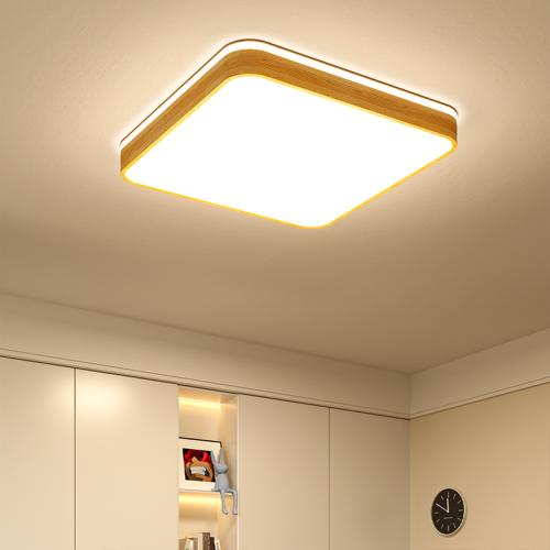 Aluminium Alloy & Engineering Plastics Adjustable Light Color Ceiling Light PC