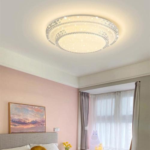 Acrylic & Iron Adjustable Light Color Ceiling Light PC