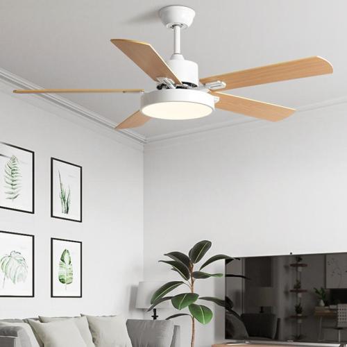 Acrylic remote control Ceiling Fan Lamp PC