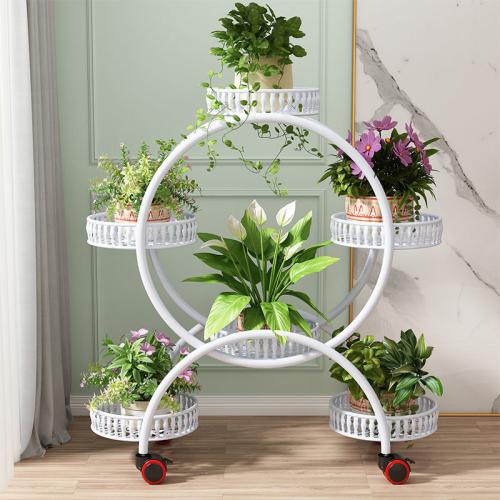 Iron Flower Rack with pulley & hollow PC